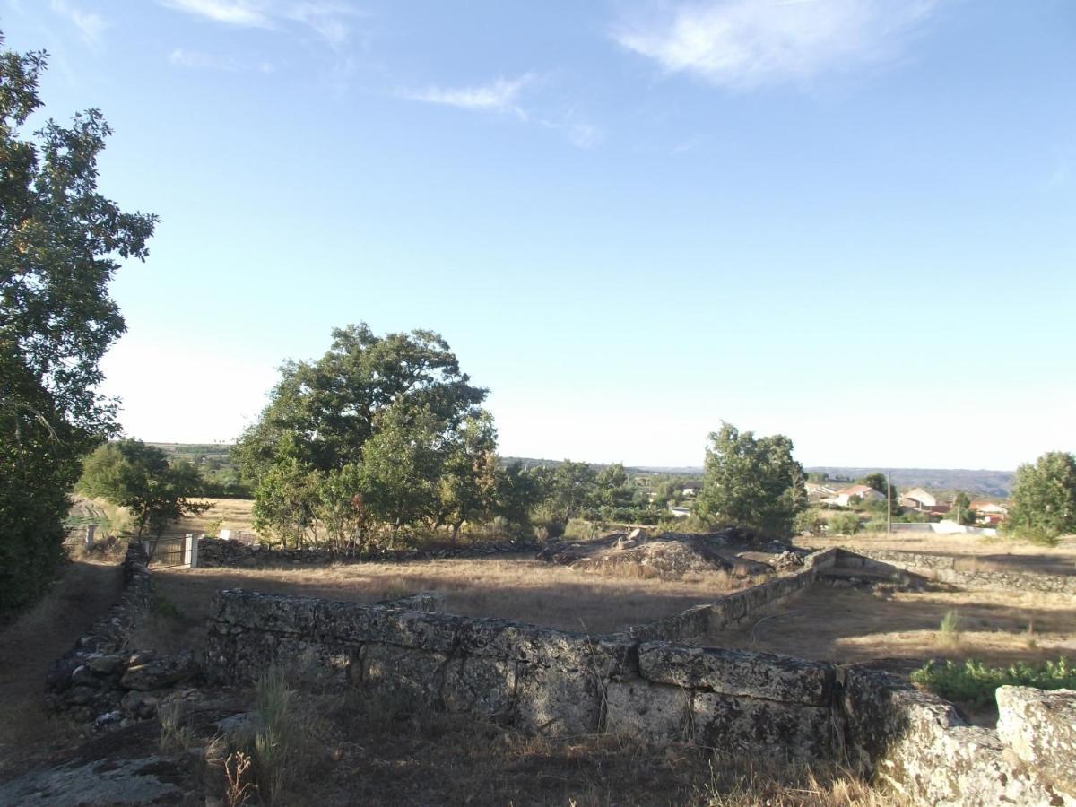 Casa Do Lagar - Mido - Casa Rural Villa Bagian luar foto